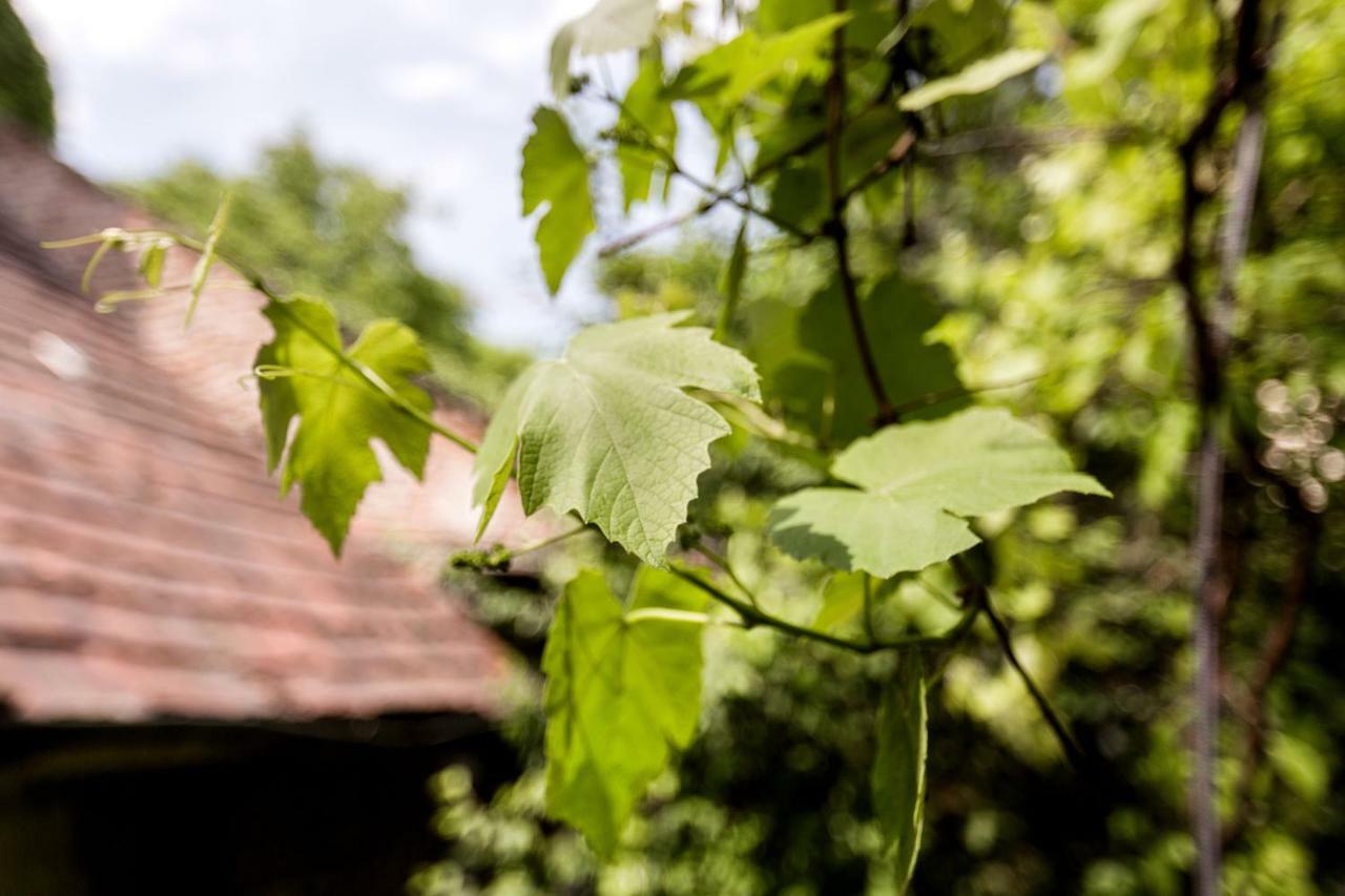 Apartman Gul Baba Saray